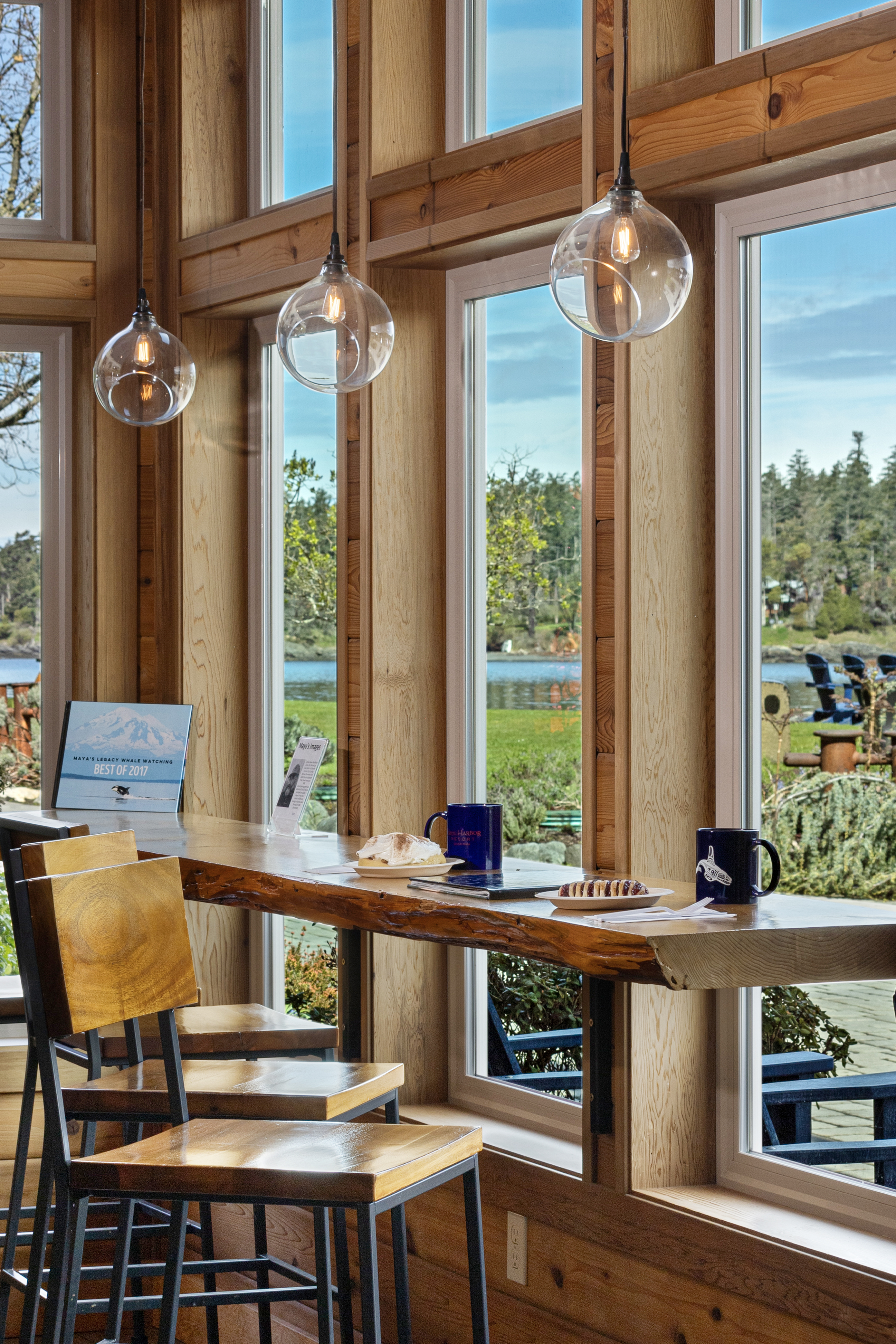 IMG_9986 content-image